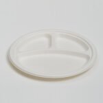 10″ 3-compartment Plate