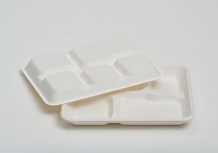 Shallow 5 Compartments Tray