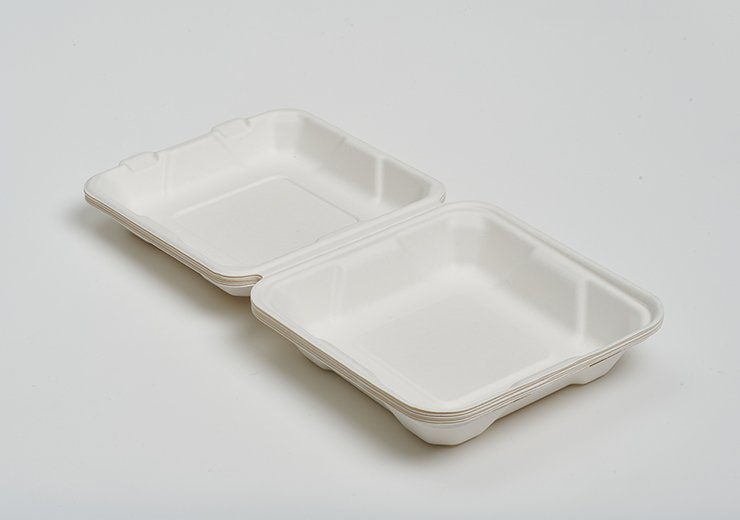 8" Shallow Clamshell