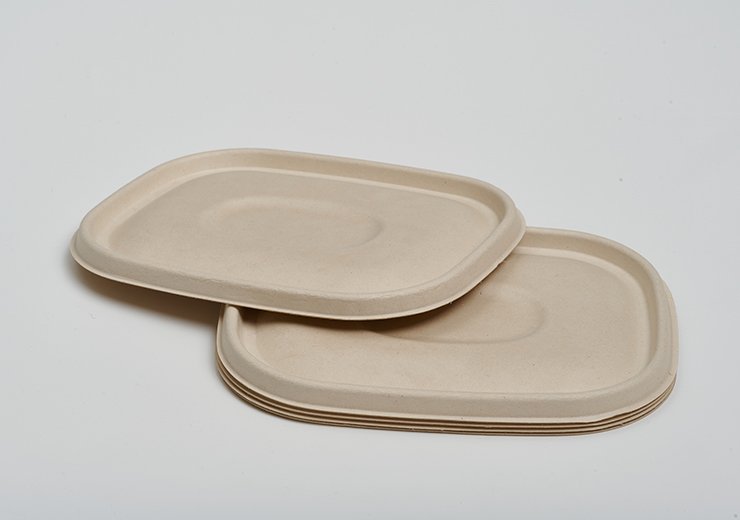 Pulp Lid for CT Food container