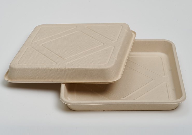 11.8 inch Food Tray
