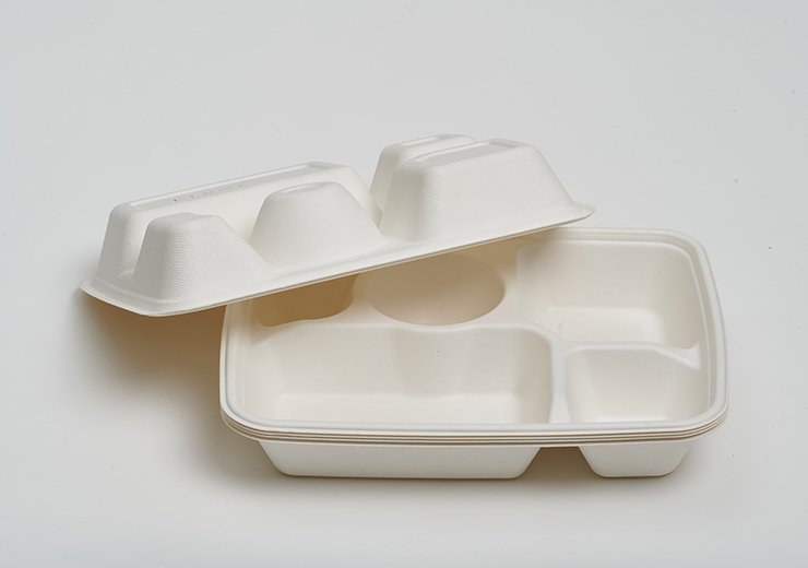 5 Compartment Lunch Tray