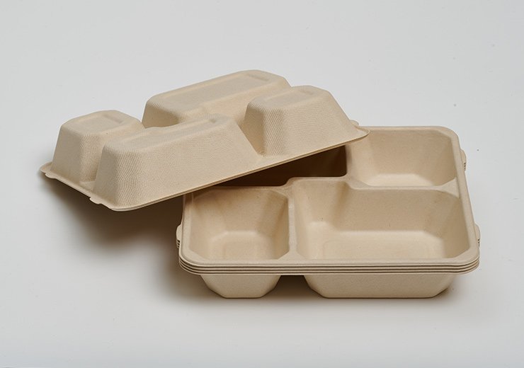 Pulp Lid of 4-Com Food Tray