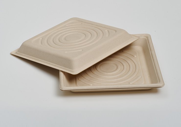 10 inch Square Pizza Plate